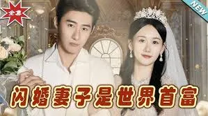 闪婚妻子是世界首富