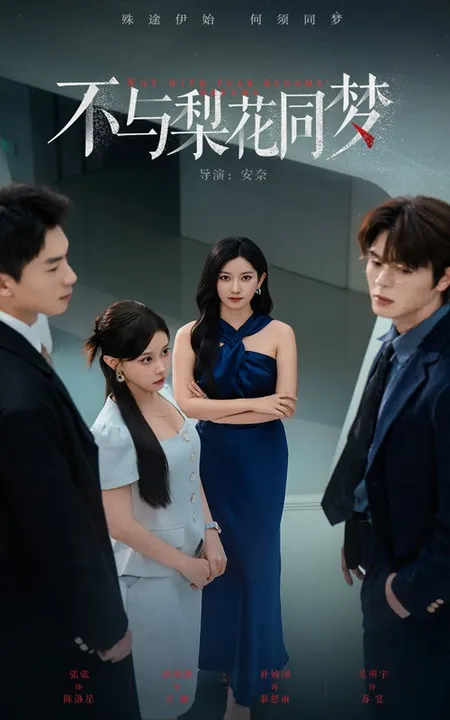不与梨花同梦
