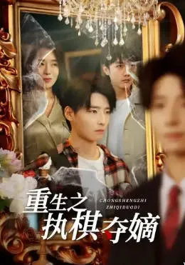 重生之执棋夺嫡