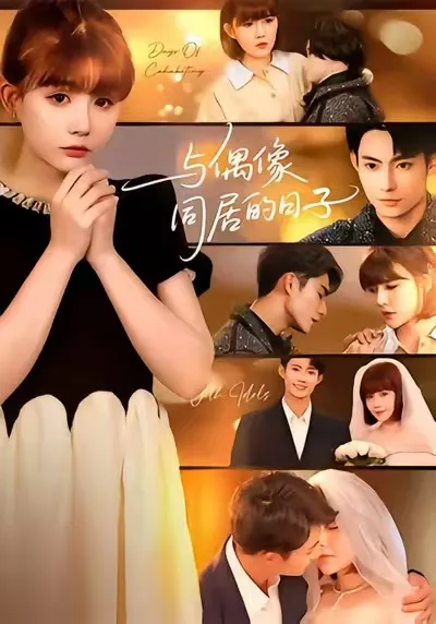 与偶像同居的日子：一段温馨的偶遇