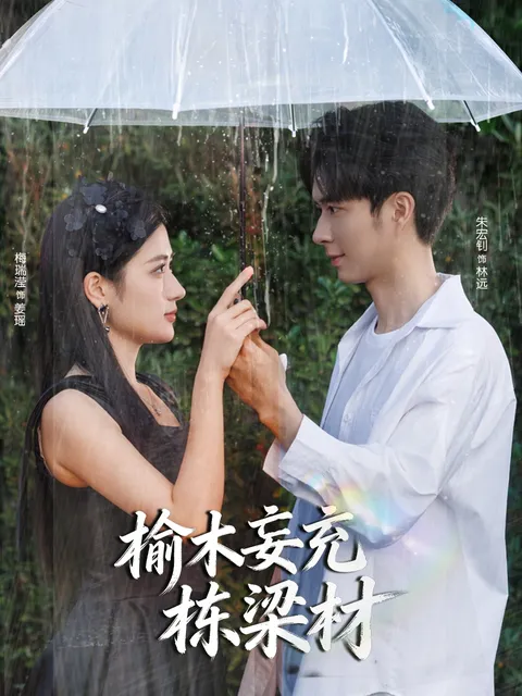 剧情解析：《榆木妄充栋梁材》的精彩故事