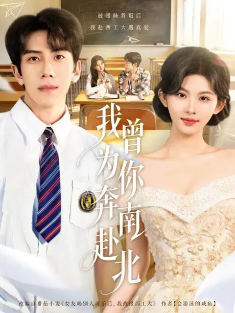 我曾为你奔南赴北：剧情亮点