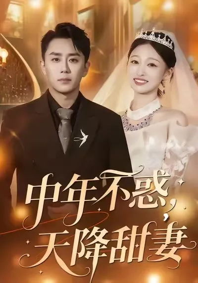 天降甜妻：一段爆笑又甜蜜的旅程