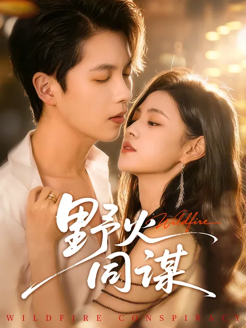 紧张剧情不断，《野火同谋》引人入胜