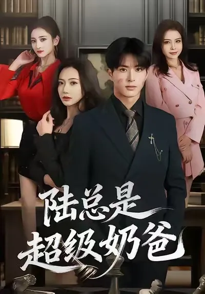 剧情介绍:《陆总是超级奶爸》