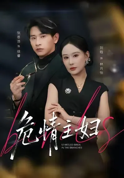 危情主婦：惊心动魄の剧情