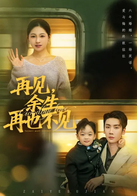 情感纠葛《再见余生再也不见》