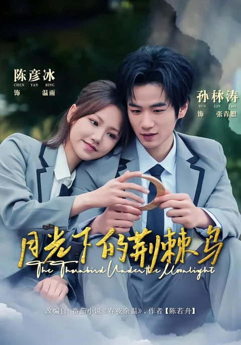 《月光下的荆棘鸟》扣人心弦的剧情引人入胜