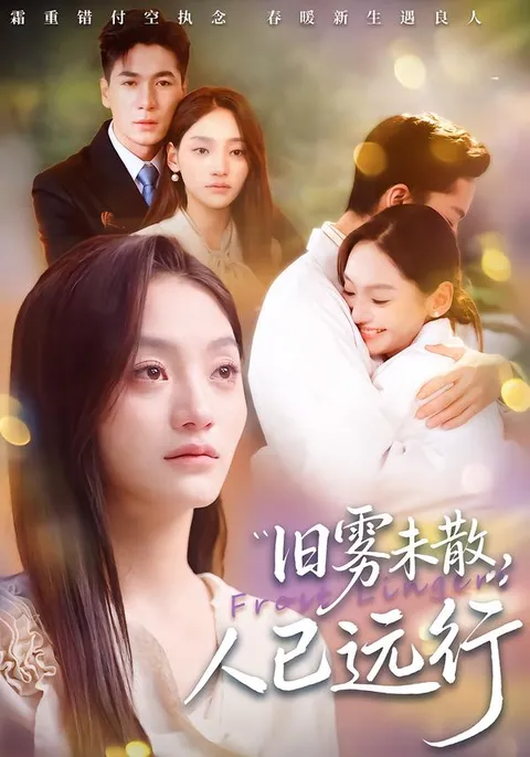 《旧雾未散，人已远行》剧情揭秘