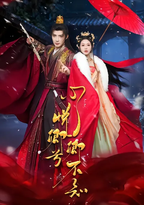 揭秘《心悦卿兮卿不知》的背后故事