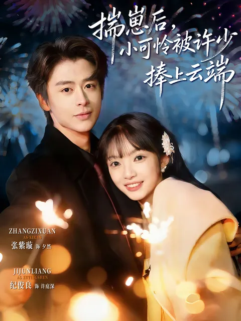 《揣崽后-小可怜被许少捧上云端》剧情揭秘