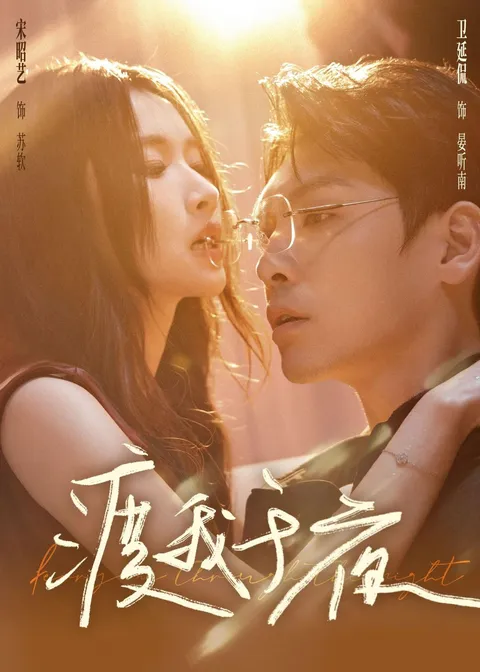 《渡我于夜》剧情剖析：悬念迭起的精彩故事