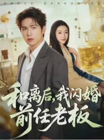 和离之后，与前任老板的精彩闪婚