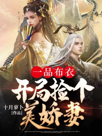 开局捡个美娇妻的一品布衣剧集