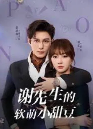 《谢先生的软萌小甜豆》：爽文短剧合集（全79集）