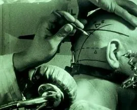 疾风之赛道宝贝